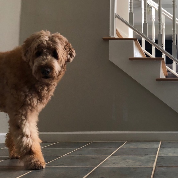 Meet your Posher, Jonathan - Picture 1 of 1